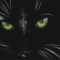 Análisis del cuento El gato negro, de Edgar Allan Poe